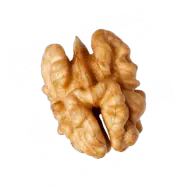 nut-img