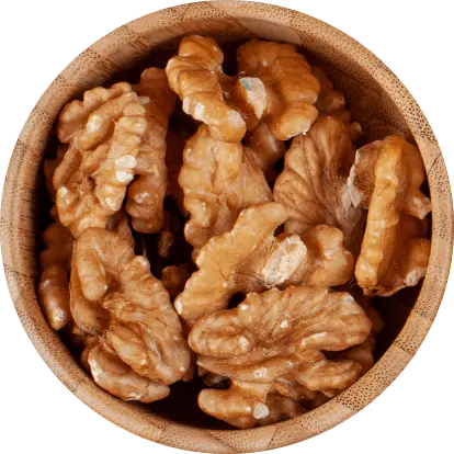 nuts-img