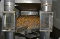 Переработка грецкого ореха на экспорт Yasmina Company LSS